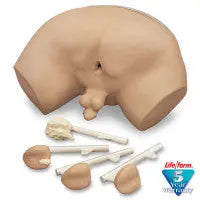 Prostate Examination Simulator - LF00901U - First Aid Market