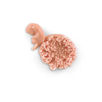 Human Fetus Replica - 7-8 Week - LF00707U