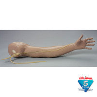 Adult Venipuncture and Injection Training Arm - White - LF00698U