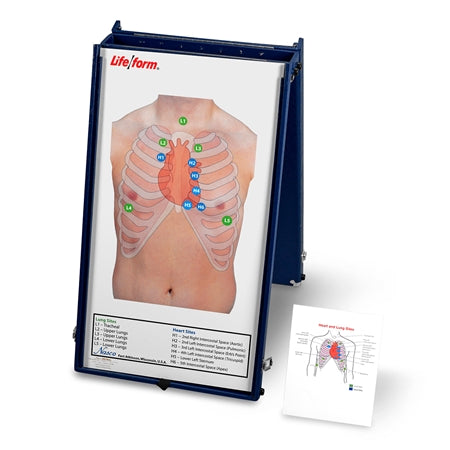 Ausculation Board With Case Only
