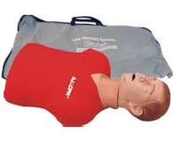 A.J. Adolescent CPR Training Manikin W/ Electronics
