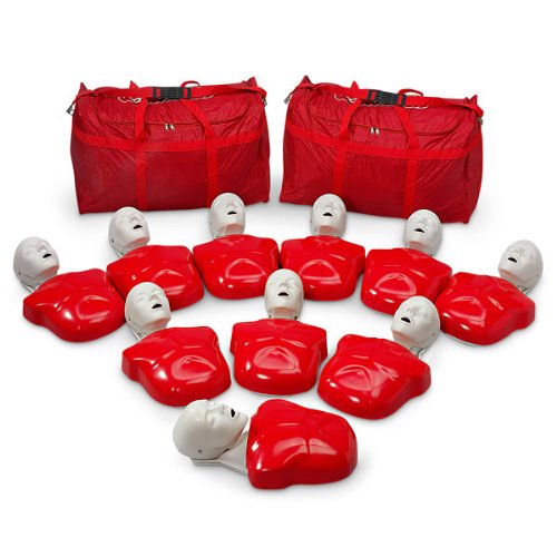 Basic Buddy CPR Manikin 10 Pack
