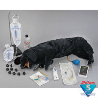 Life/Form Advanced Sanitary CPR Dog - LF01155U