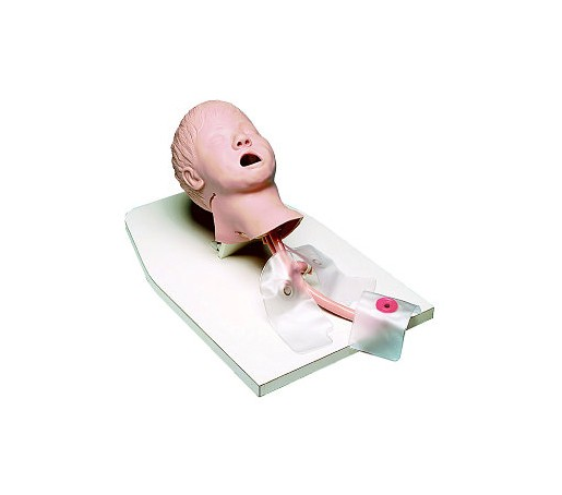 Child Airway Management Trainer on Stand with case