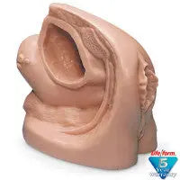 Female Catheter Model - LF01151U - First Aid Market