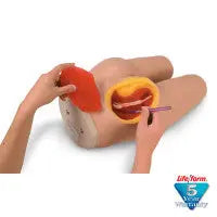 Intramuscular Injection Simulator - LF00961U - First Aid Market
