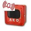 Outdoor AED Alarmed Cabinet - First Aid Market