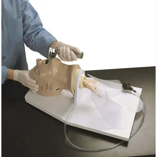 Adult "Airway Larry" Management Trainer W/Stand - First Aid Market